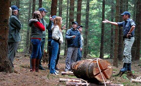 layout image (to proper size of the container)