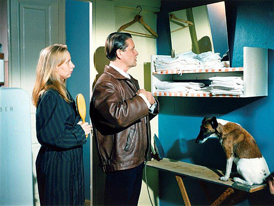 forhåndsvisning af film