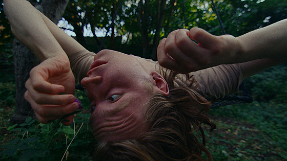 forhåndsvisning af film