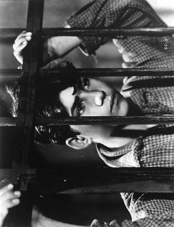 layout image (to proper size of the container)