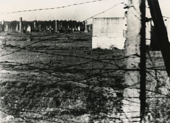 forhåndsvisning af film