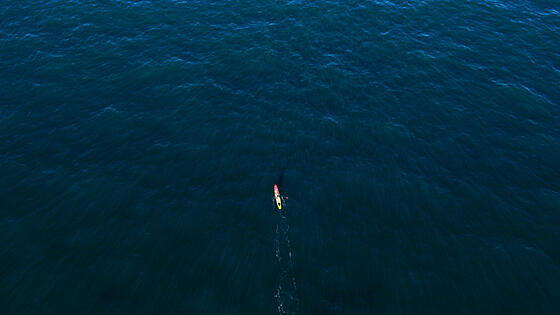 forhåndsvisning af film