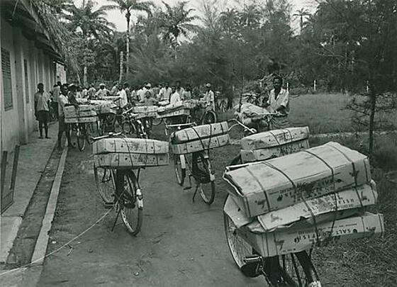 forhåndsvisning af film