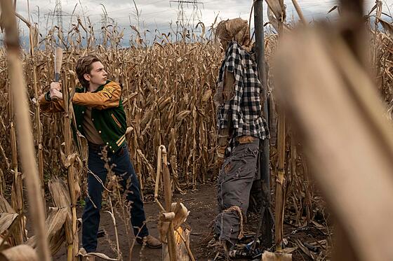 forhåndsvisning af film