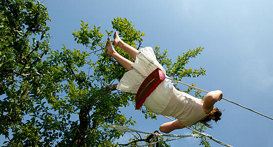 forhåndsvisning af film