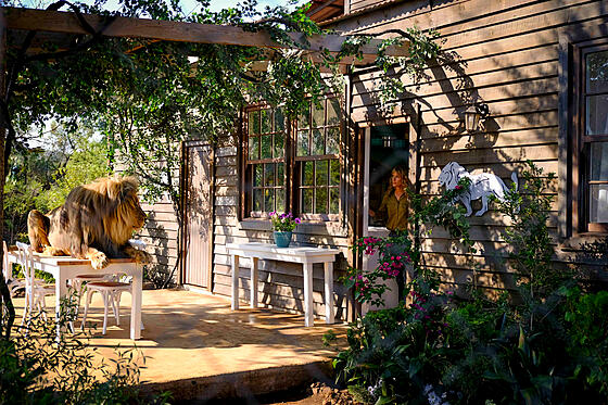 forhåndsvisning af film