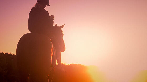 layout image (to proper size of the container)