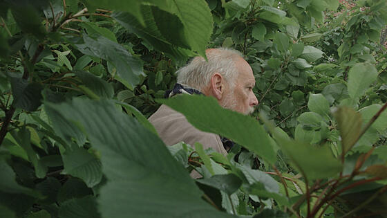 forhåndsvisning af film