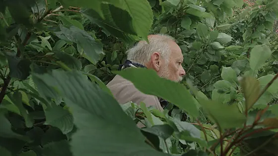 forhåndsvisning af film