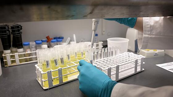 forhåndsvisning af film