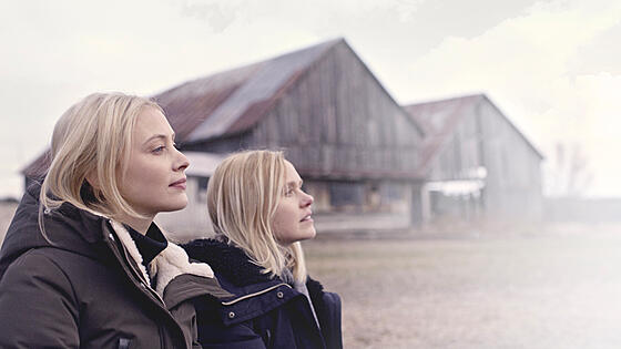 layout image (to proper size of the container)