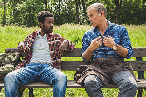 layout image (to proper size of the container)