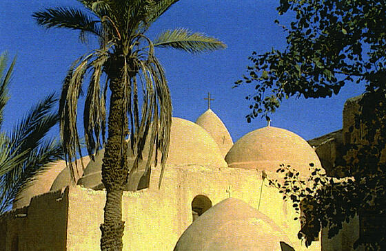 forhåndsvisning af film