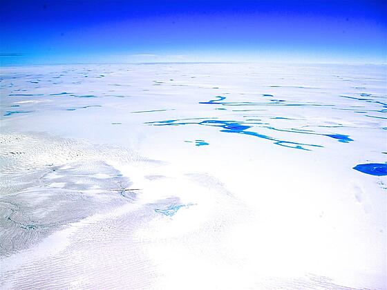 forhåndsvisning af film
