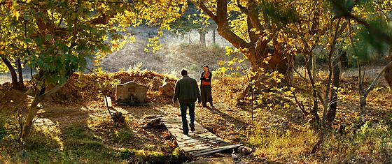 layout image (to proper size of the container)