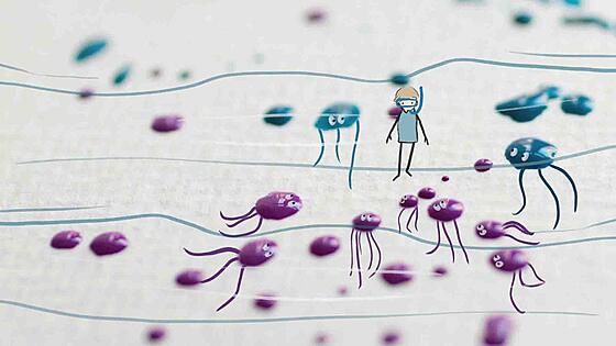 forhåndsvisning af film