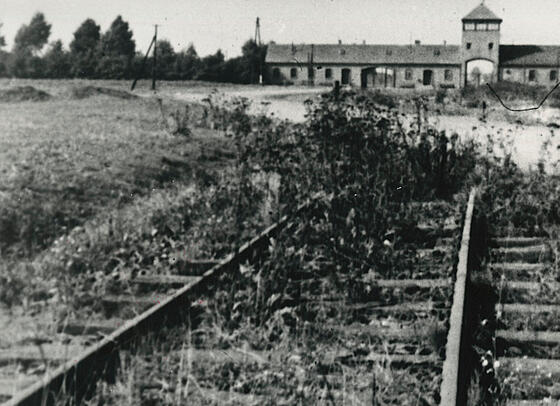 layout image (to proper size of the container)