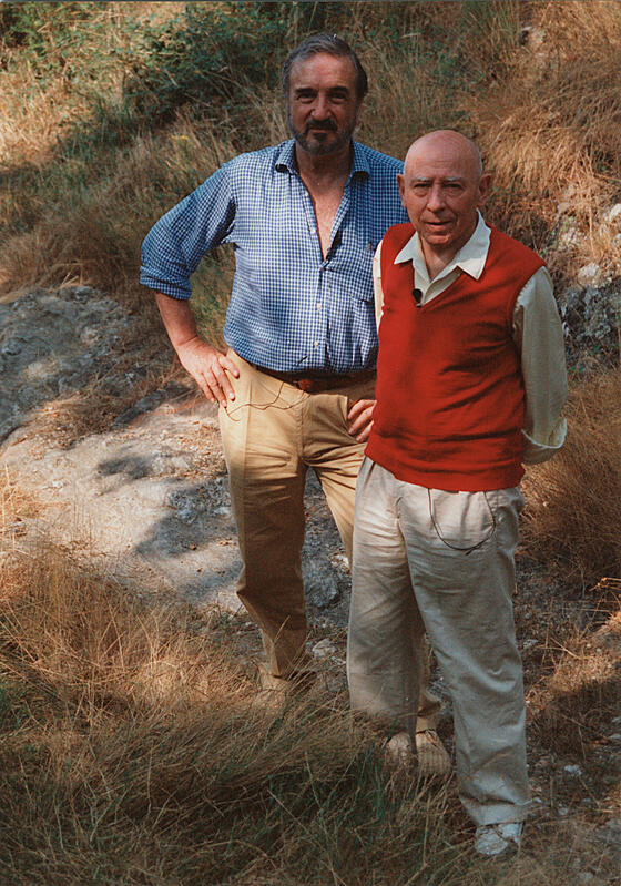 forhåndsvisning af film