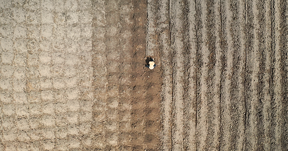 forhåndsvisning af film