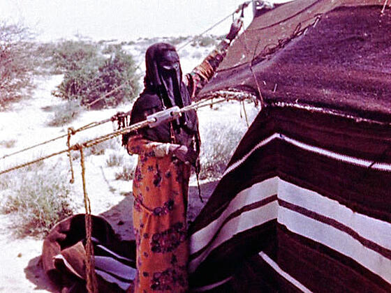 layout image (to proper size of the container)