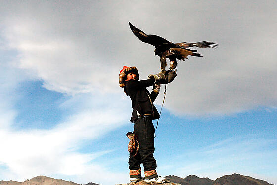 layout image (to proper size of the container)