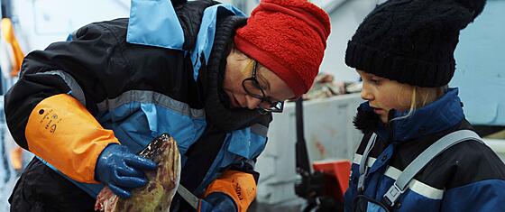 forhåndsvisning af film