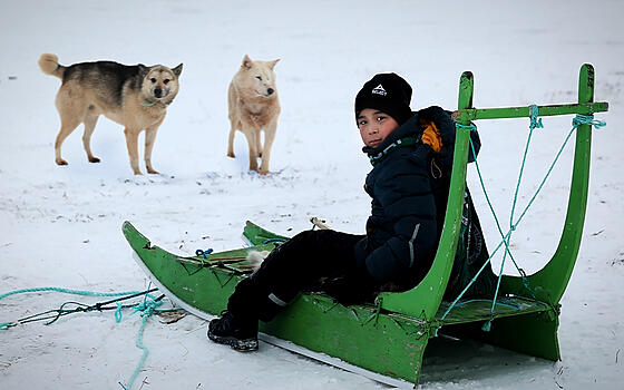 layout image (to proper size of the container)