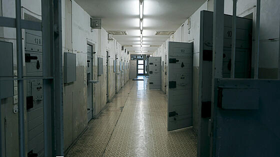 forhåndsvisning af film