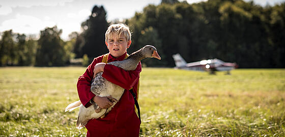 layout image (to proper size of the container)