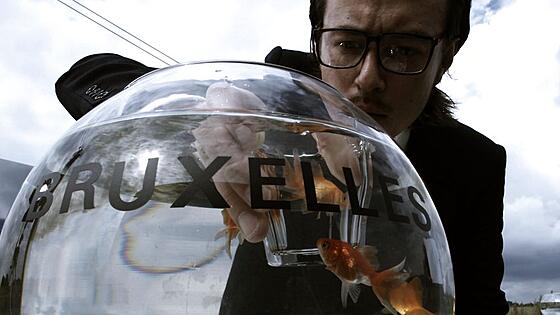 layout image (to proper size of the container)