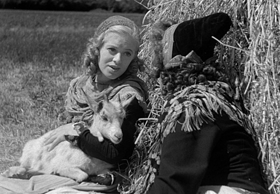 layout image (to proper size of the container)