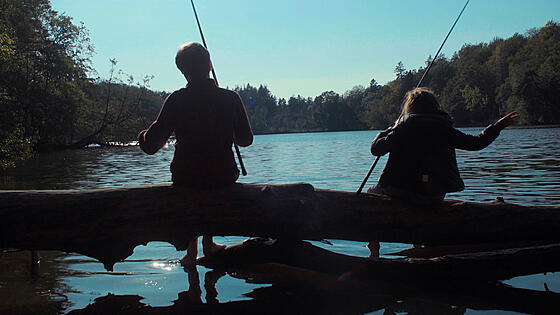 forhåndsvisning af film