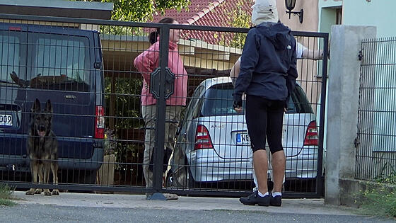 forhåndsvisning af film