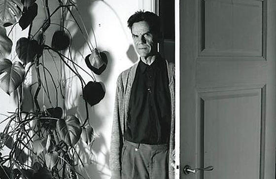 forhåndsvisning af film