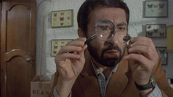 layout image (to proper size of the container)