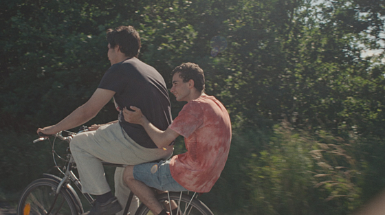 layout image (to proper size of the container)