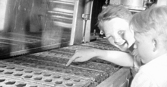 forhåndsvisning af film