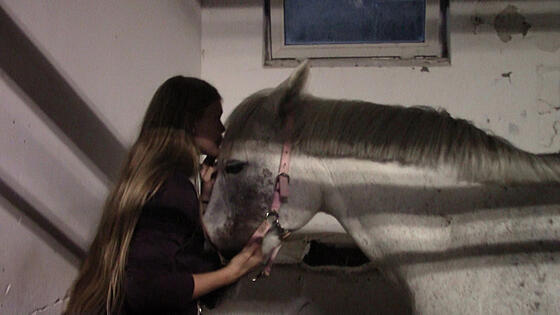 layout image (to proper size of the container)