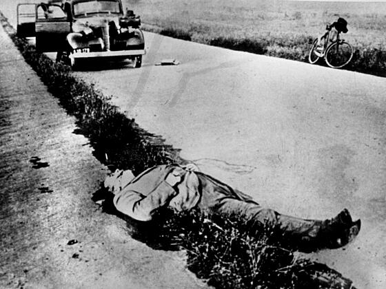 layout image (to proper size of the container)