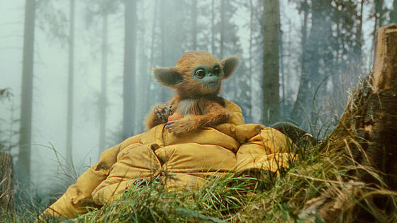 forhåndsvisning af film