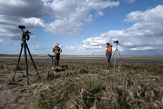 forhåndsvisning af film
