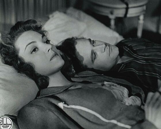 layout image (to proper size of the container)