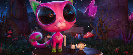 forhåndsvisning af film