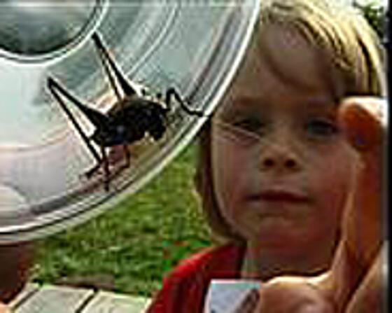 layout image (to proper size of the container)