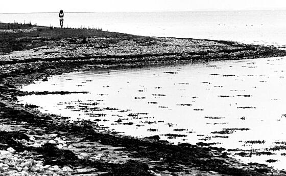 forhåndsvisning af film