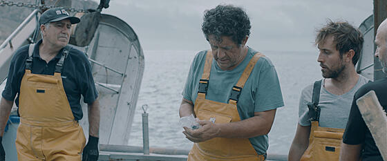 forhåndsvisning af film