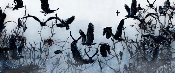 forhåndsvisning af film