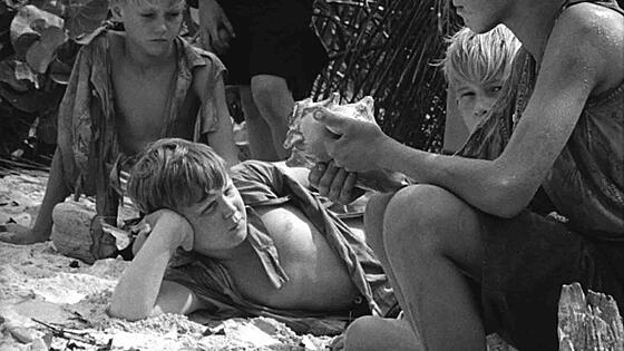 forhåndsvisning af film