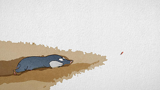 forhåndsvisning af film