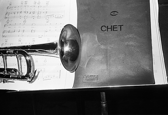 forhåndsvisning af film